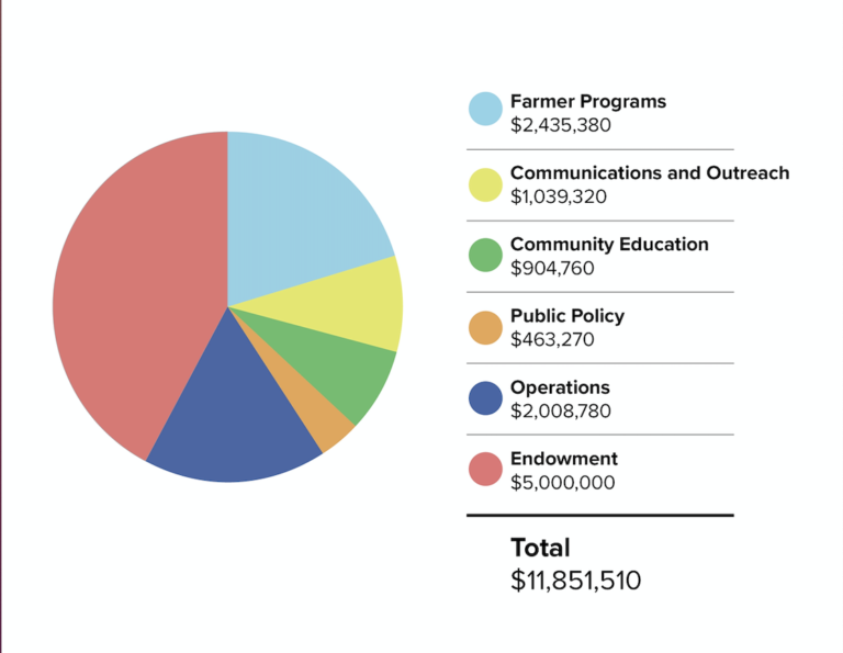 Campaign Pie Chart