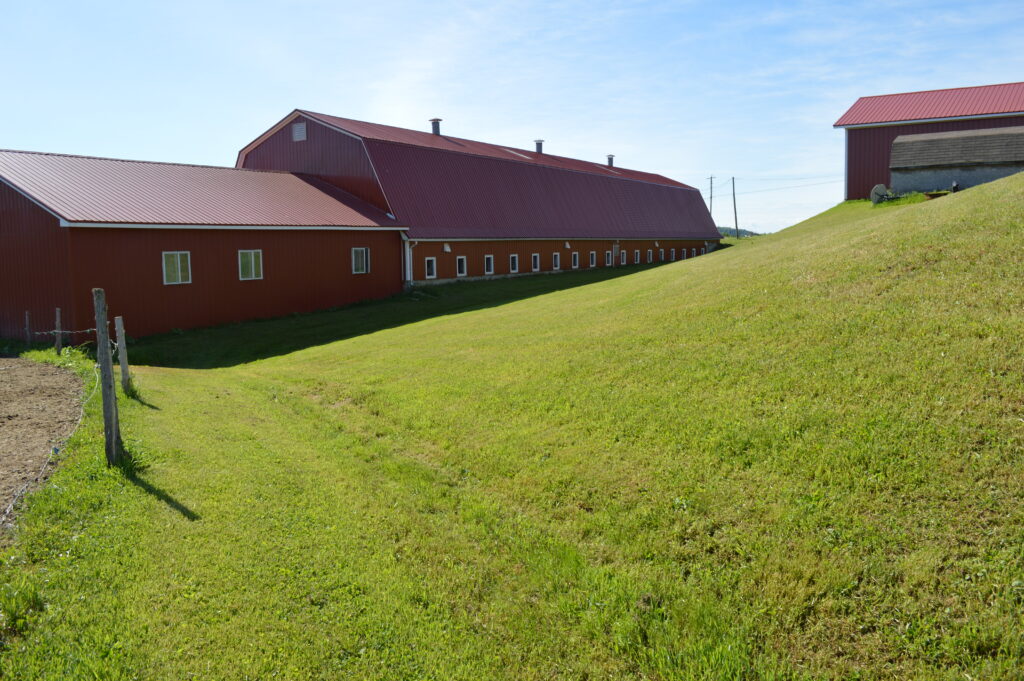 Lawncare Maine Organic Farmers and Gardeners