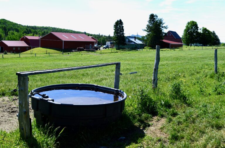 pool-in-lawn-next-to-farm