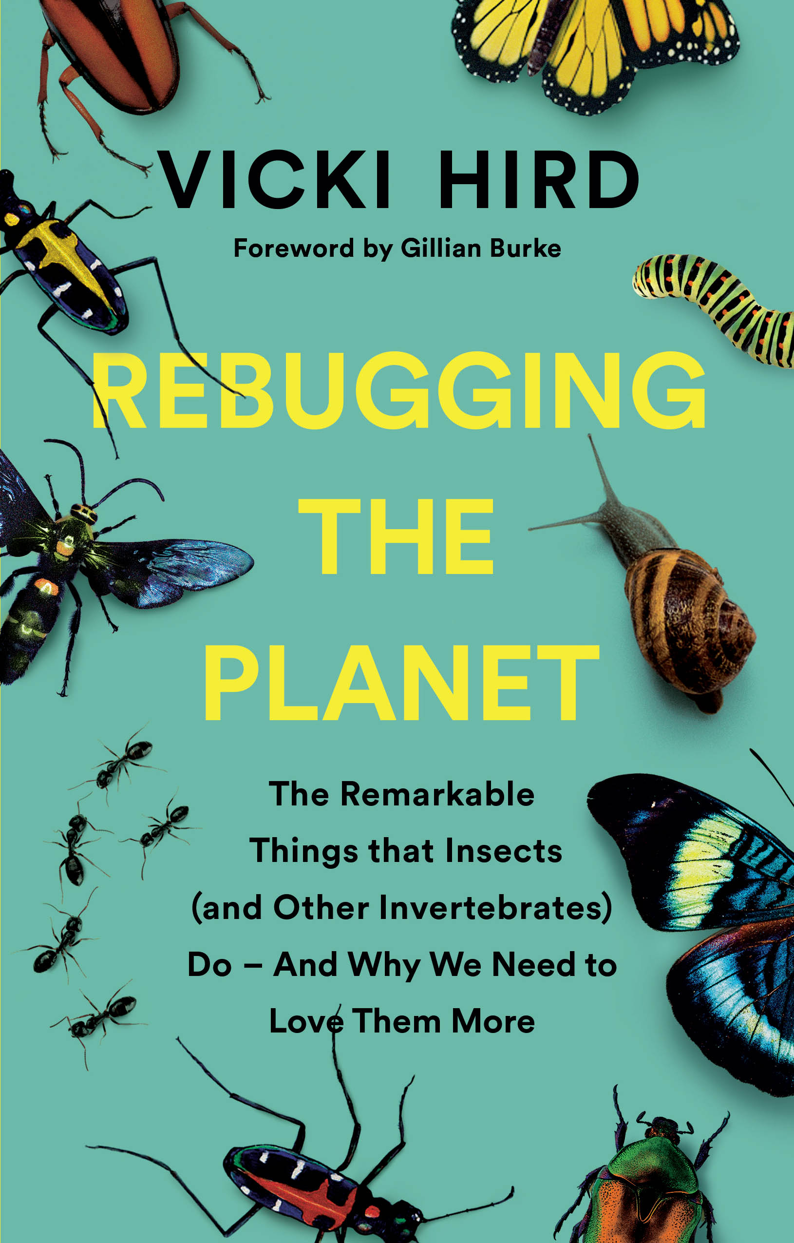 Cover Rebugging the Planet