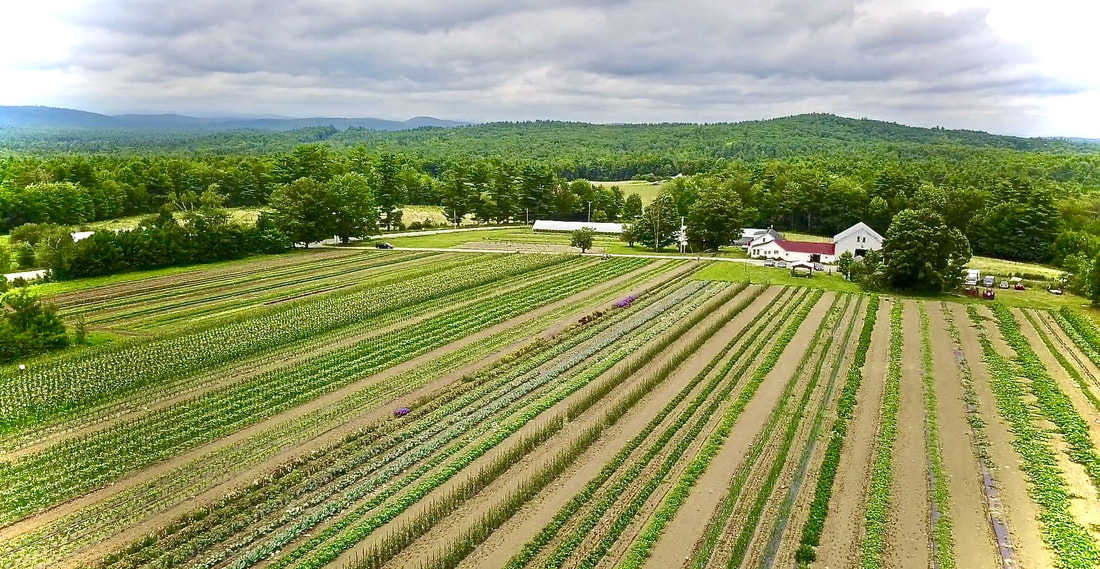 Hancock Family Farm Maine Organic Farmers and Gardeners