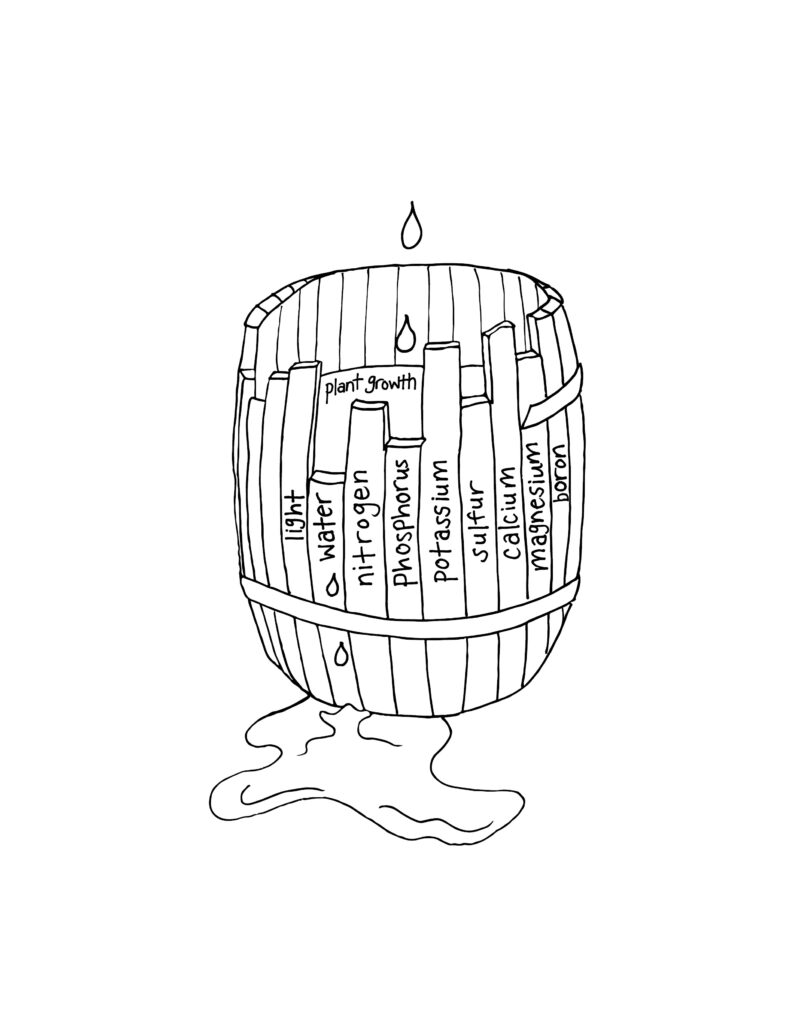 Illustration of a barrel full of water with water spilling out of the broken staves; each stave is labeled a different nutrient that plants need