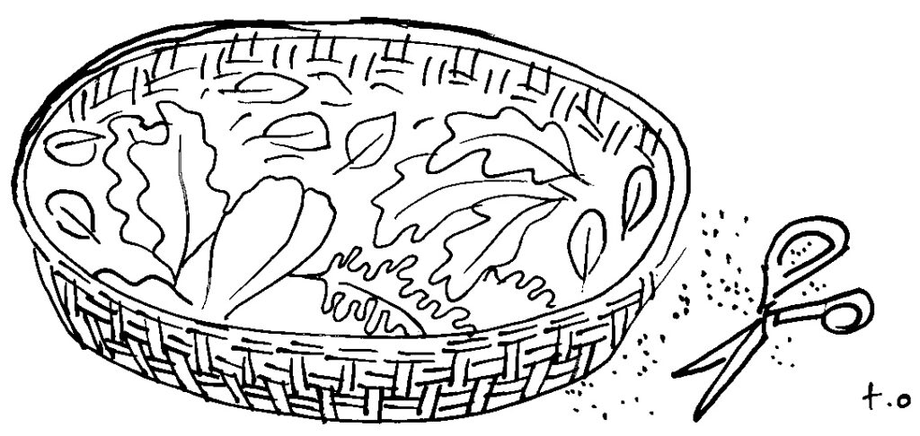 Illustration of greens in a flat basket with a pair of scissors