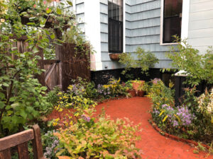 The patio of a house spills over with gardens of native plants