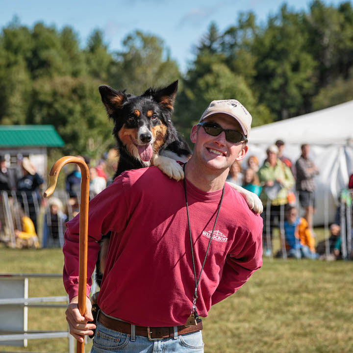 A shepherd carries a wooden crook while a border collie sits on the person's back