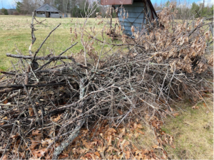 rustic fenceline comprised of brush and orchard prunings