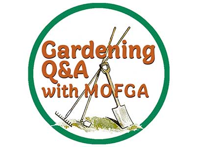 Text: Gardening Q & A with MOFGA. Image: Gardening tools.