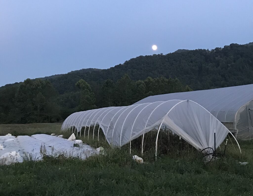 A tarp weighted down by sandbags next to a cat tunnel.