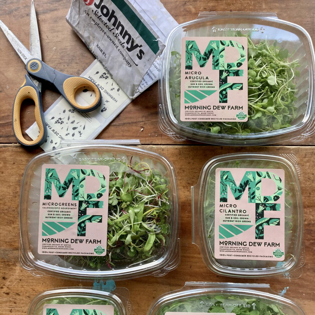 Microgreens from Morning Dew Farm next to scissors and a packet from Johnny's seeds.