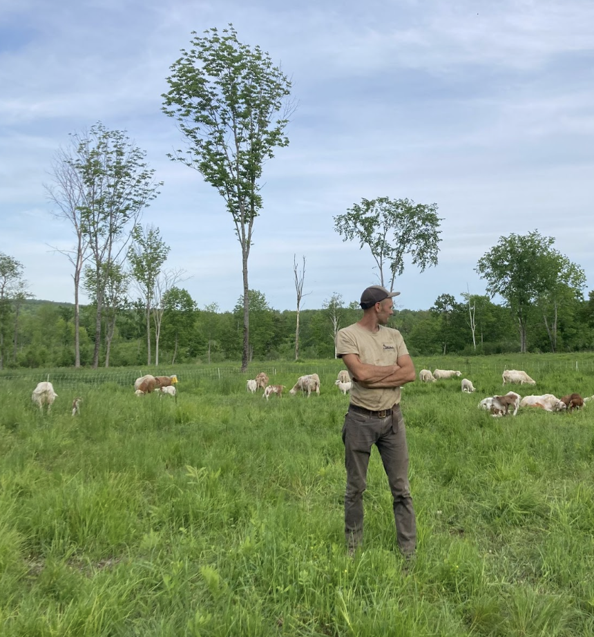 A farmer stands in a field of grazing sheep with trees.