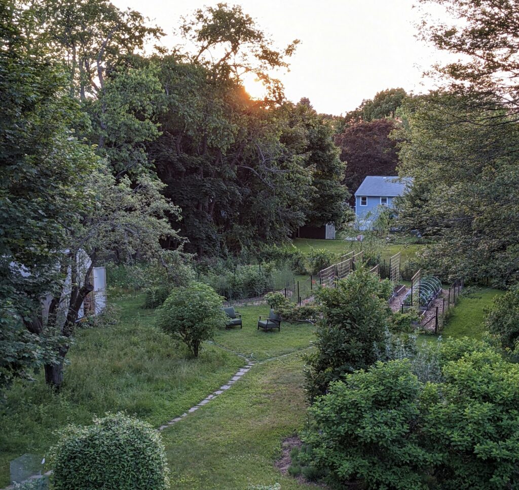 A verdant vegetable garden and homestead.