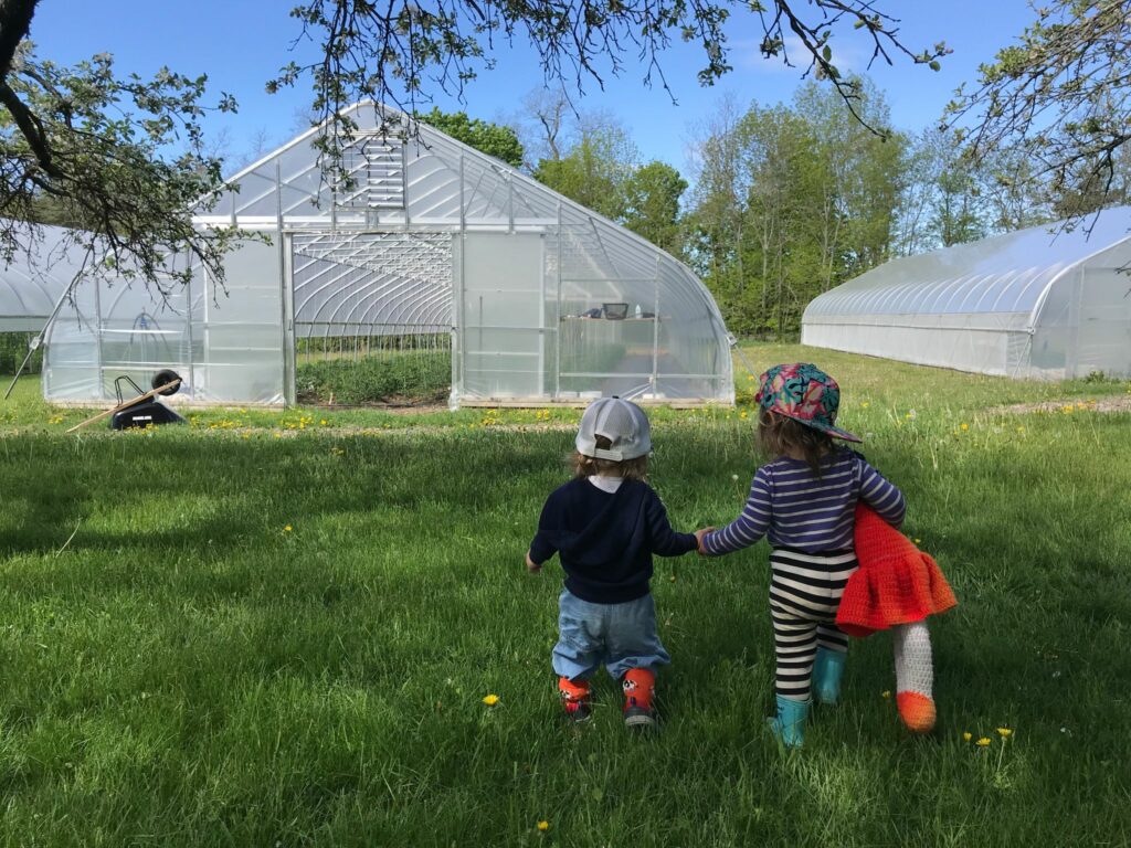 The backs of two children, holding hands, facing a greenhouse.