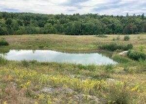 Far Side of Maine Heritage Orchard Pond 2020