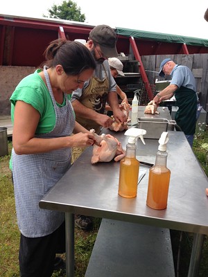 Poultry Processing small