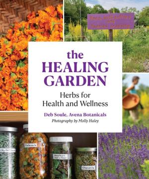 Review The Healing Garden