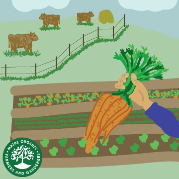 Illustration of a hand holding a bunch of carrots in front of a farm scene