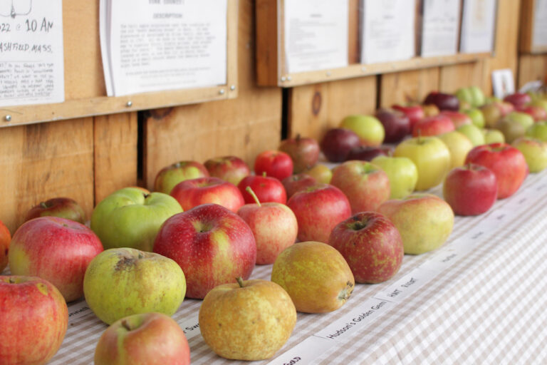 Apple varieties on display at the Fair.