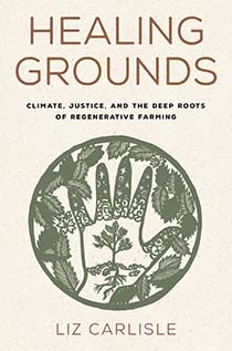 Book cover of "Healing Grounds"