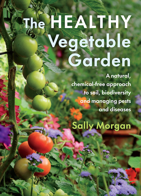 Review The Healthy Vegetable Garden