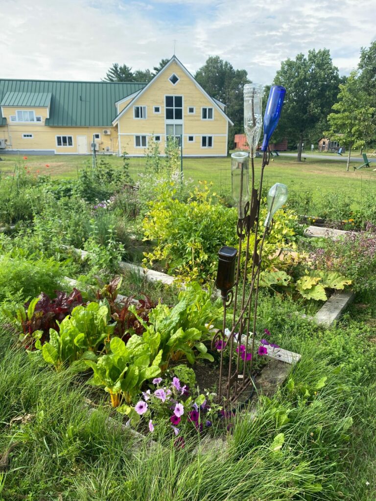 Raised beds outside the MOFGA offices with decorative glass bottles on display.