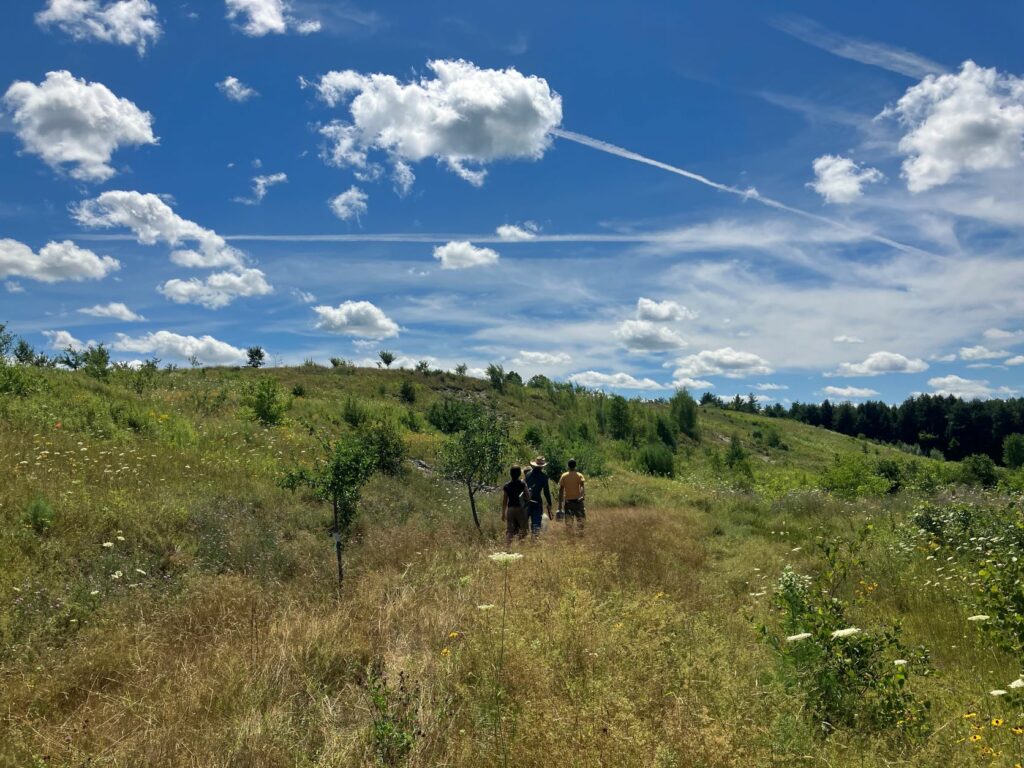 Staff walk through the Maine Heritage Orchard on a sunny summer day with beautiful clouds.