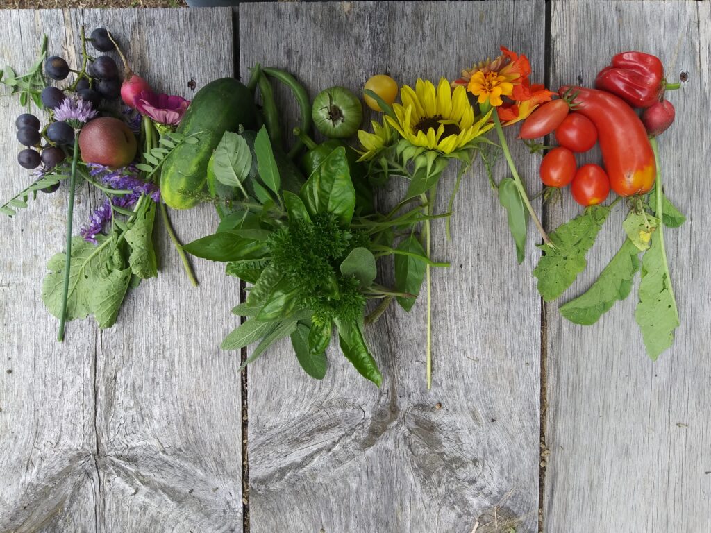 Colorful veggies and flowers.