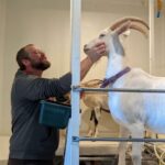 3 Level Farm Creamery