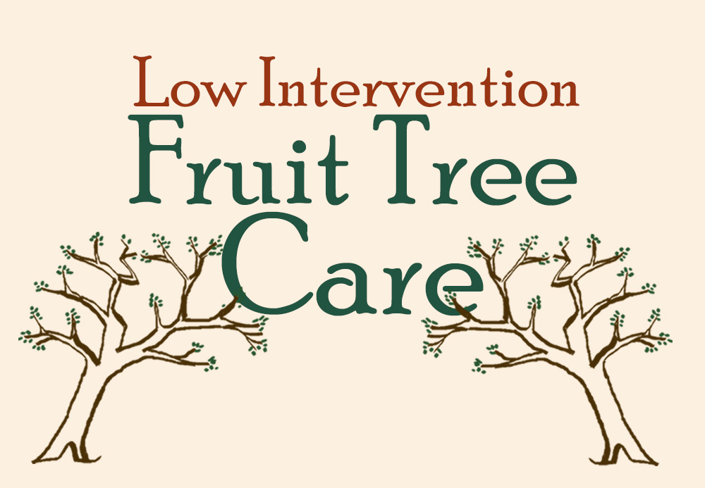 LIFruitTreeCare 2023