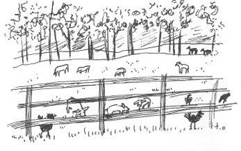 Livestock