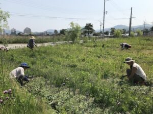 four farmers working in a field with a city and mountains rising to meet the horizon