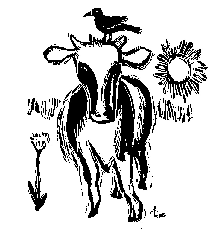 cow illustration