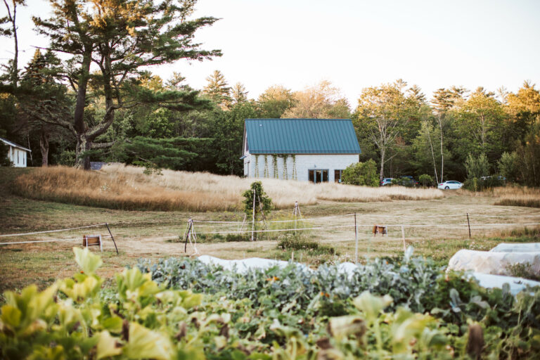 Katie Arnold Photography Wanderwood farmscape