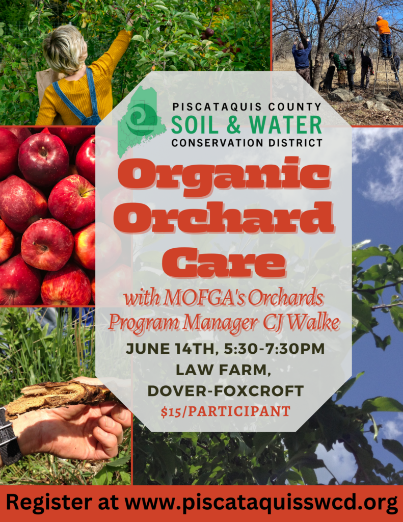 Organic Orchard Care with CJ Walke