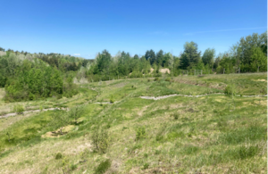 Fruit trees and companion plants at the Maine Heritage Orchard.