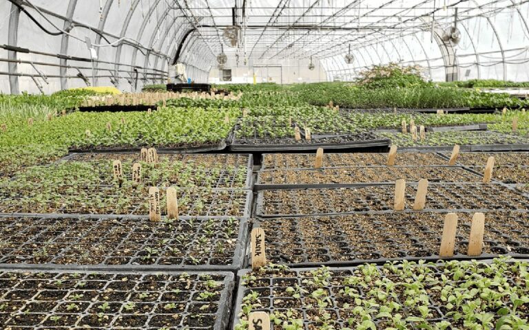McKay Farm and Research Center.