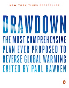 Drawdown book cover