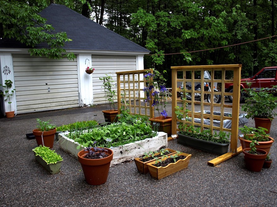 Vazquez container garden