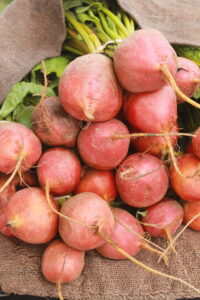 Bunches of golden beets displayed at a farmers' market