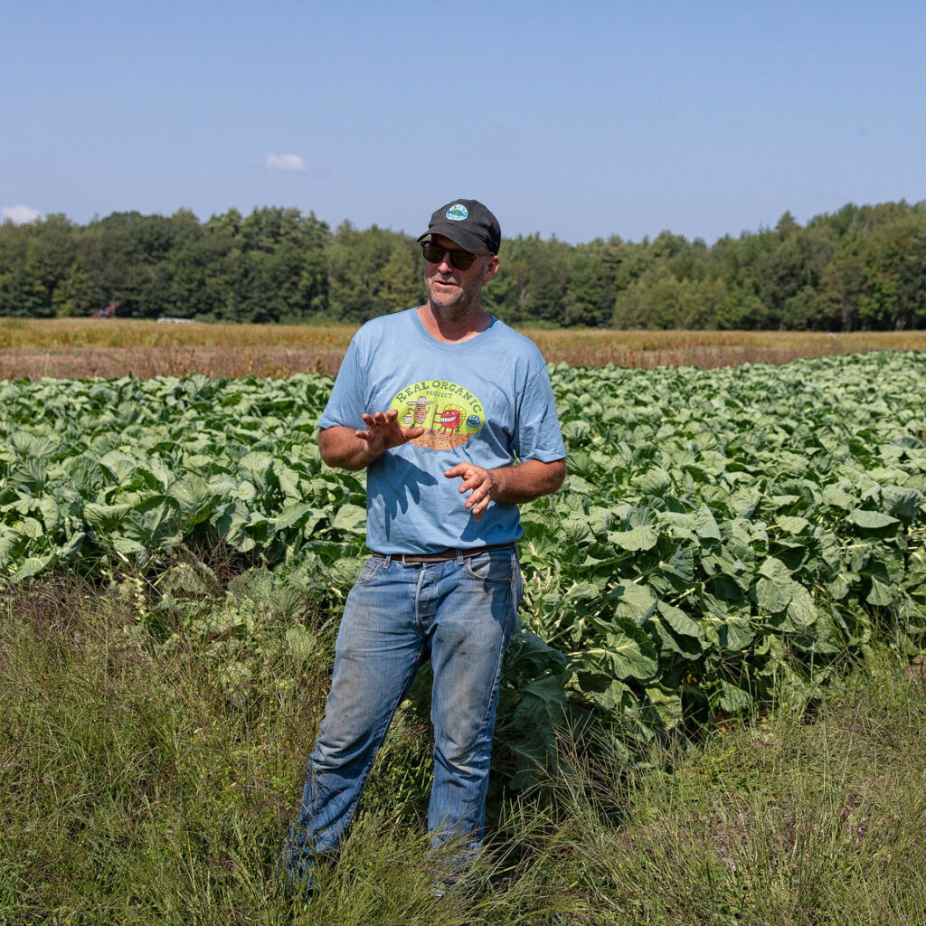 Farmer standing in a field of greens