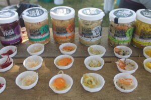 Thirty Acre Farm ferments lined up in a row with paper cups of samples in front of the jars.