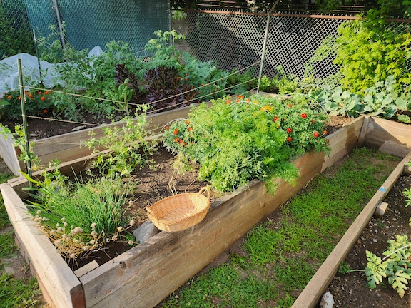 BARN garden