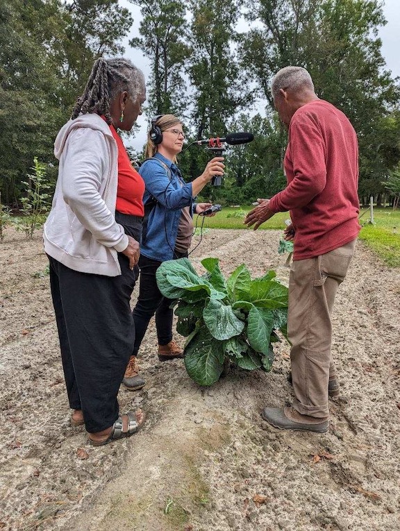 Heirloom Gardens field recording