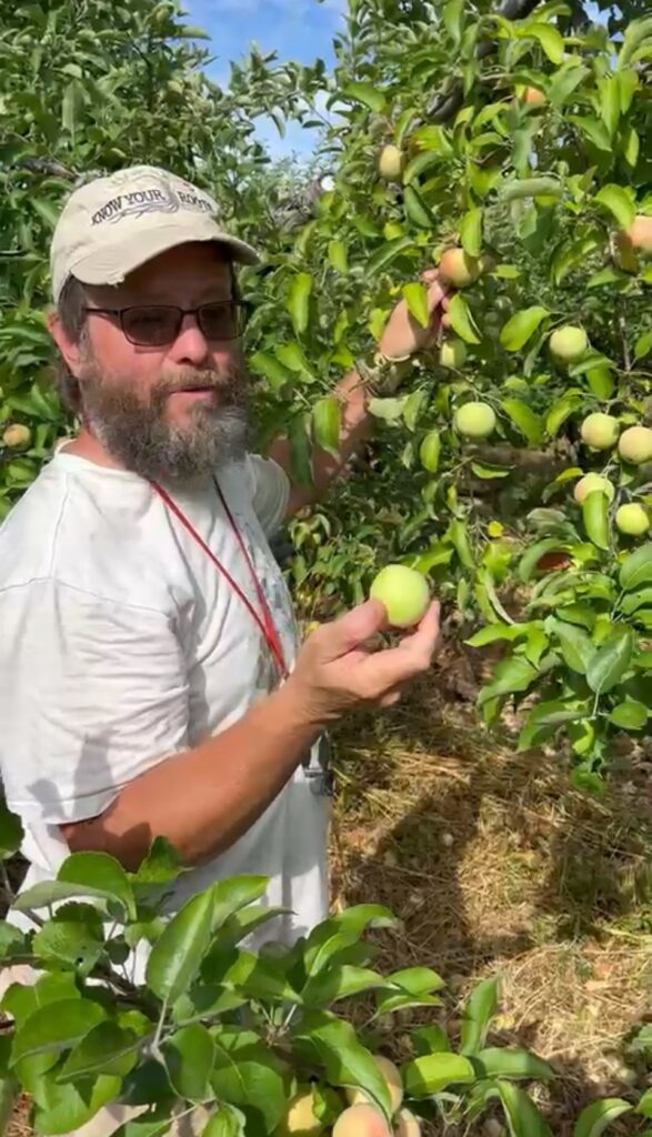 Workshop host Mike is picking green apples from a tree, and holds one up to the calendar