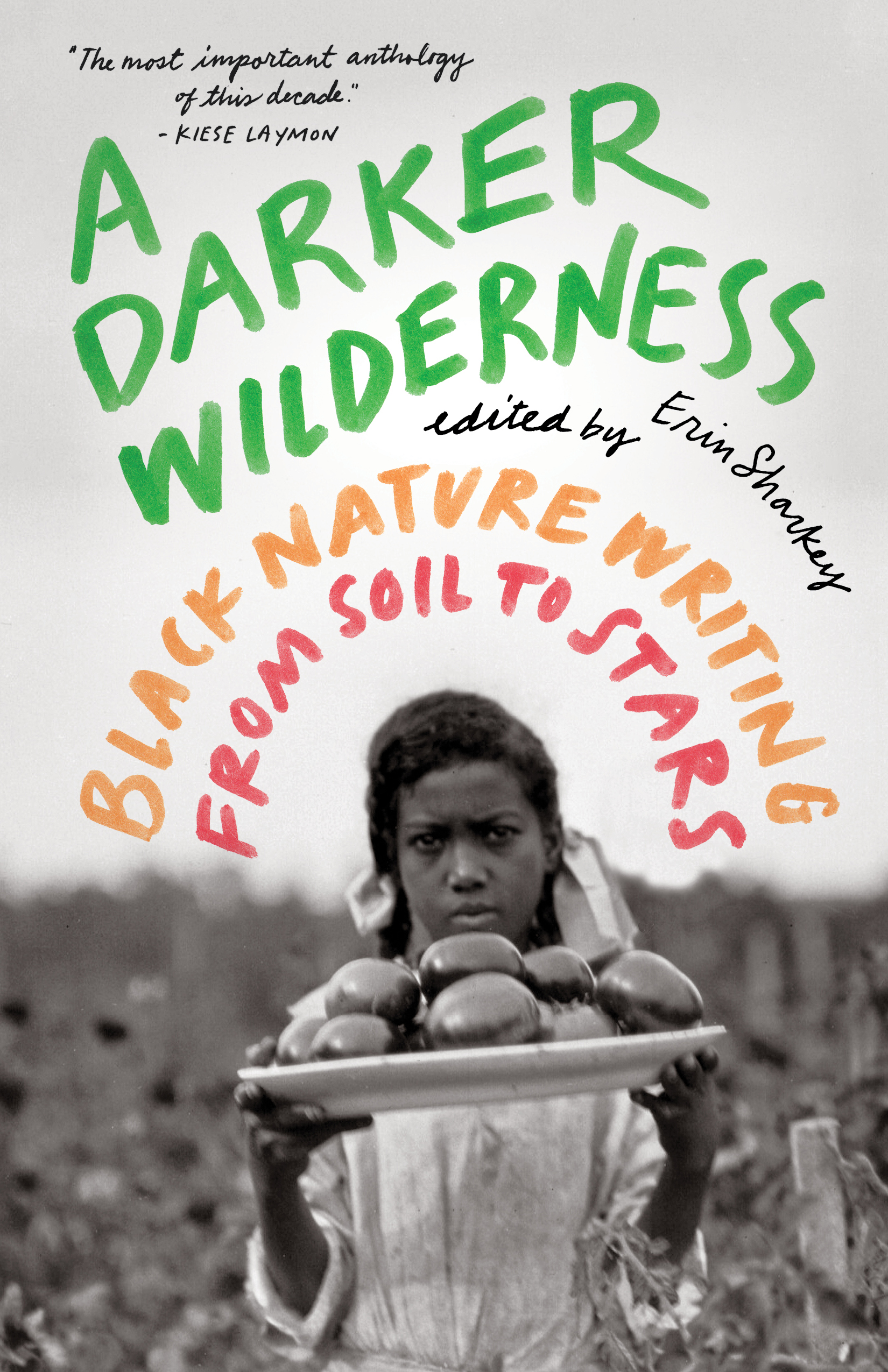 Book cover of A Darker Wilderness