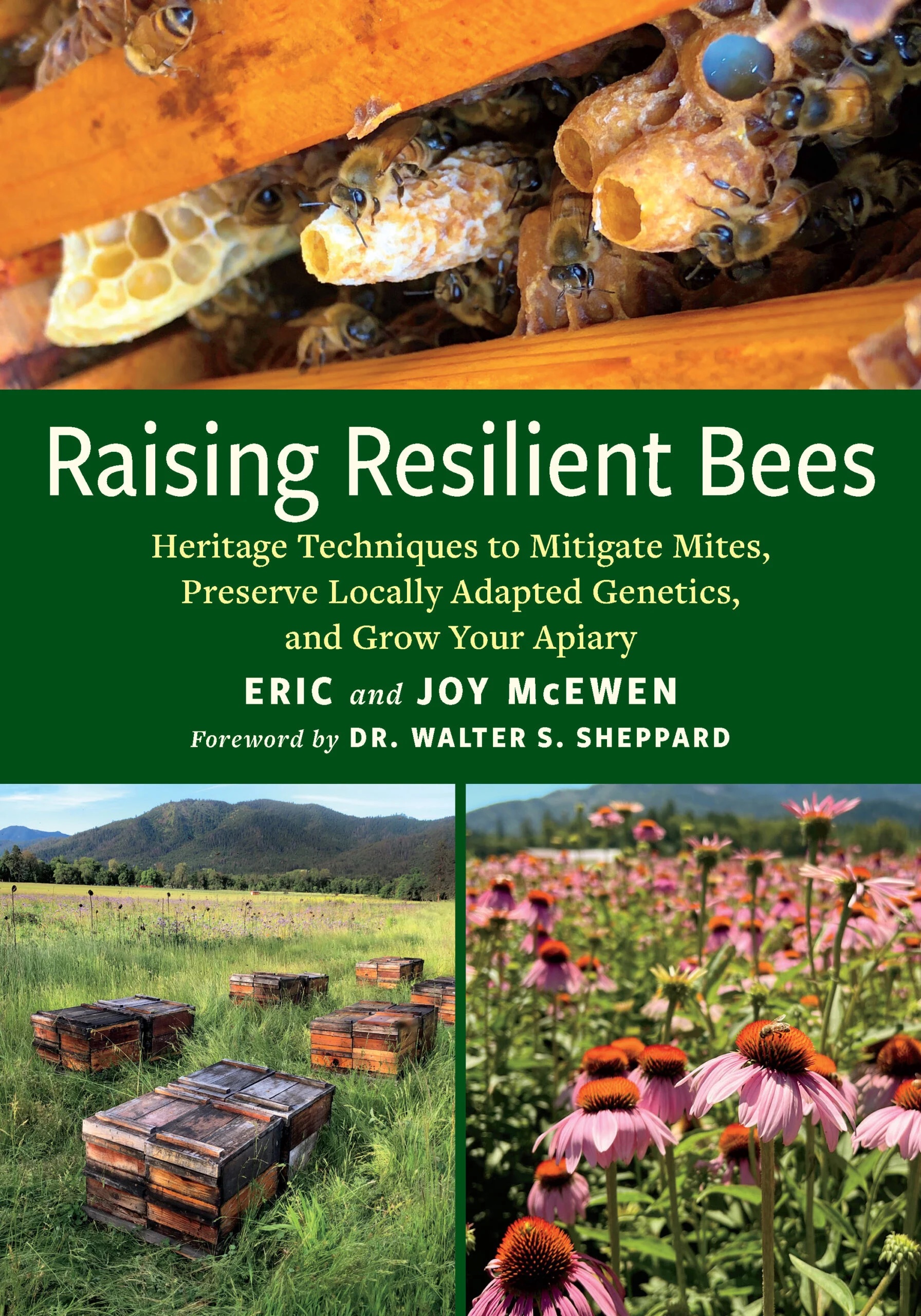 Book cover of Raising Resilient Bees