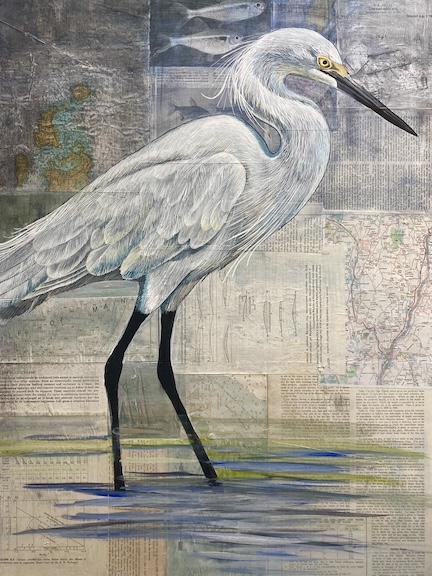 Snowy Egret Maya Kuvaja