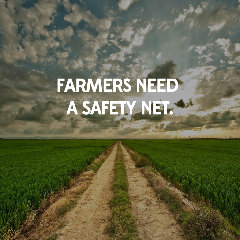 Farmers Need a Safety Net