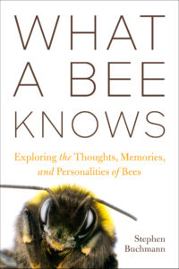 Book cover of "What a Bee Knows"