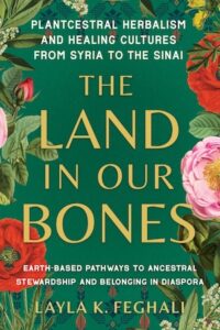 Book cover of The Land in Our Bones
