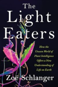 Book cover of The Light Eaters